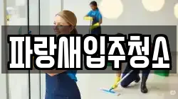 파랑새입주청소