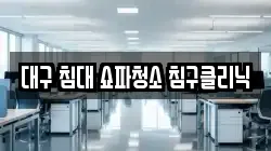 대구 침대 쇼파청소 침구클리닉