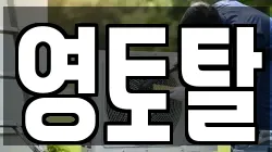 영토탈