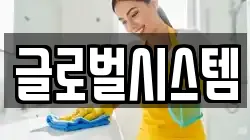 글로벌시스템