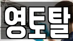 영토탈