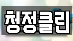 청정클린