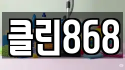 클린868
