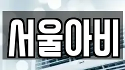 서울아비