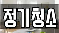 정기청소