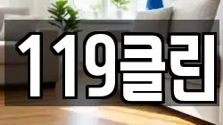 119클린