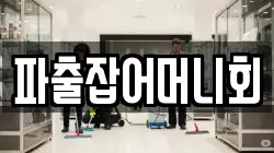 파출잡어머니회