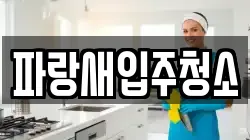 파랑새입주청소