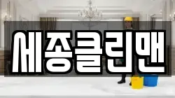 세종클린맨