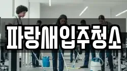 파랑새입주청소