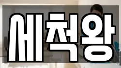 세척왕