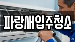 파랑새입주청소