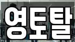 영토탈