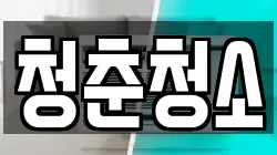 청춘청소