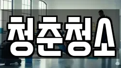 청춘청소
