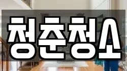 청춘청소