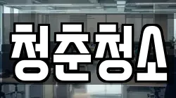 청춘청소