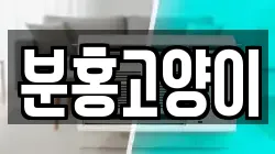 분홍고양이