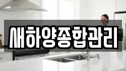 새하양종합관리