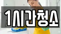 1시간청소