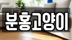 분홍고양이
