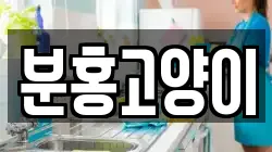 분홍고양이