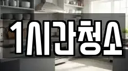 1시간청소
