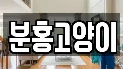 분홍고양이