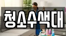 청소수색대