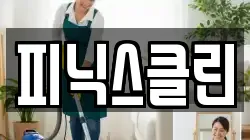 피닉스클린