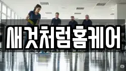 새것처럼홈케어