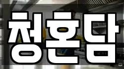 청혼담