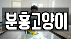 분홍고양이