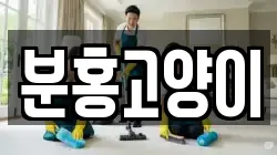 분홍고양이