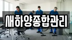 새하양종합관리