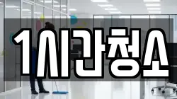 1시간청소