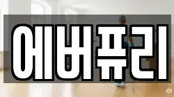 에버퓨리