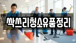 싹쓰리청소유품정리