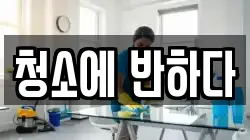 청소에 반하다