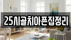 25시골치아픈집정리