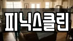 피닉스클린