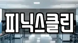 피닉스클린