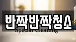 반짝반짝청소