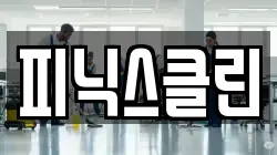 피닉스클린