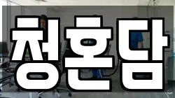 청혼담