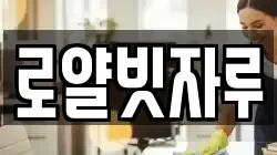 로얄빗자루