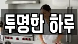 투명한 하루