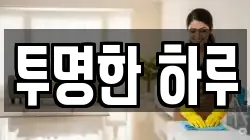 투명한 하루