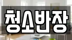 청소반장