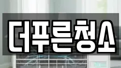 더푸른청소